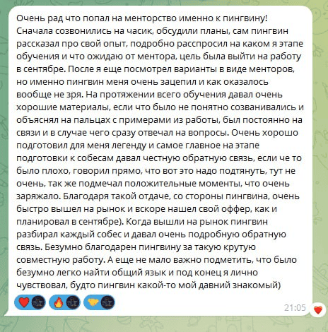 Отзыв 1 о менторе IT пингвин